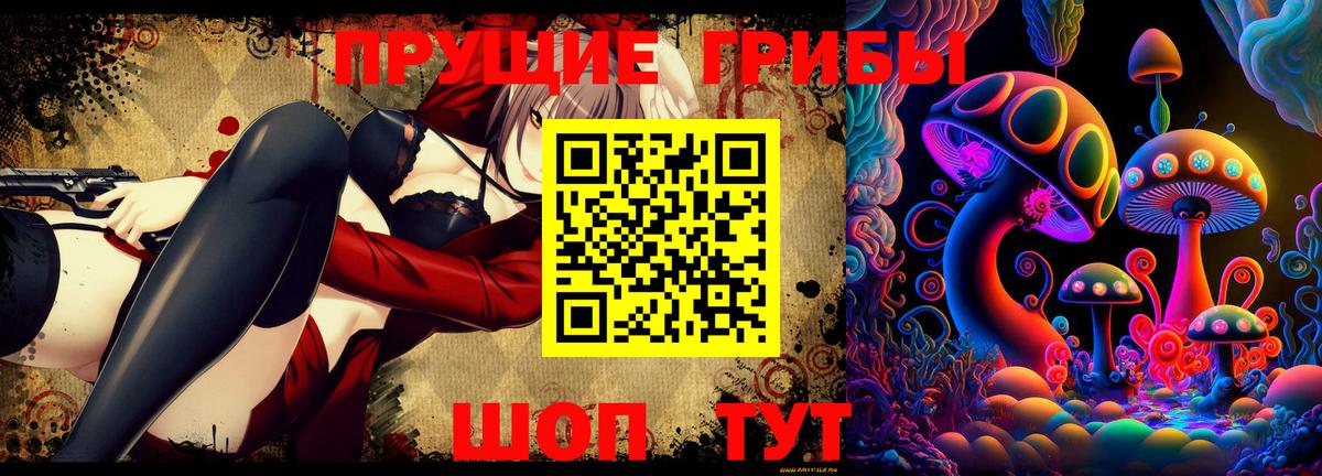 Красный Сулин  Псилоцибиновые грибы прущие грибы  Вход с VPN 